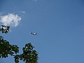 Western Michigan [2010] 381